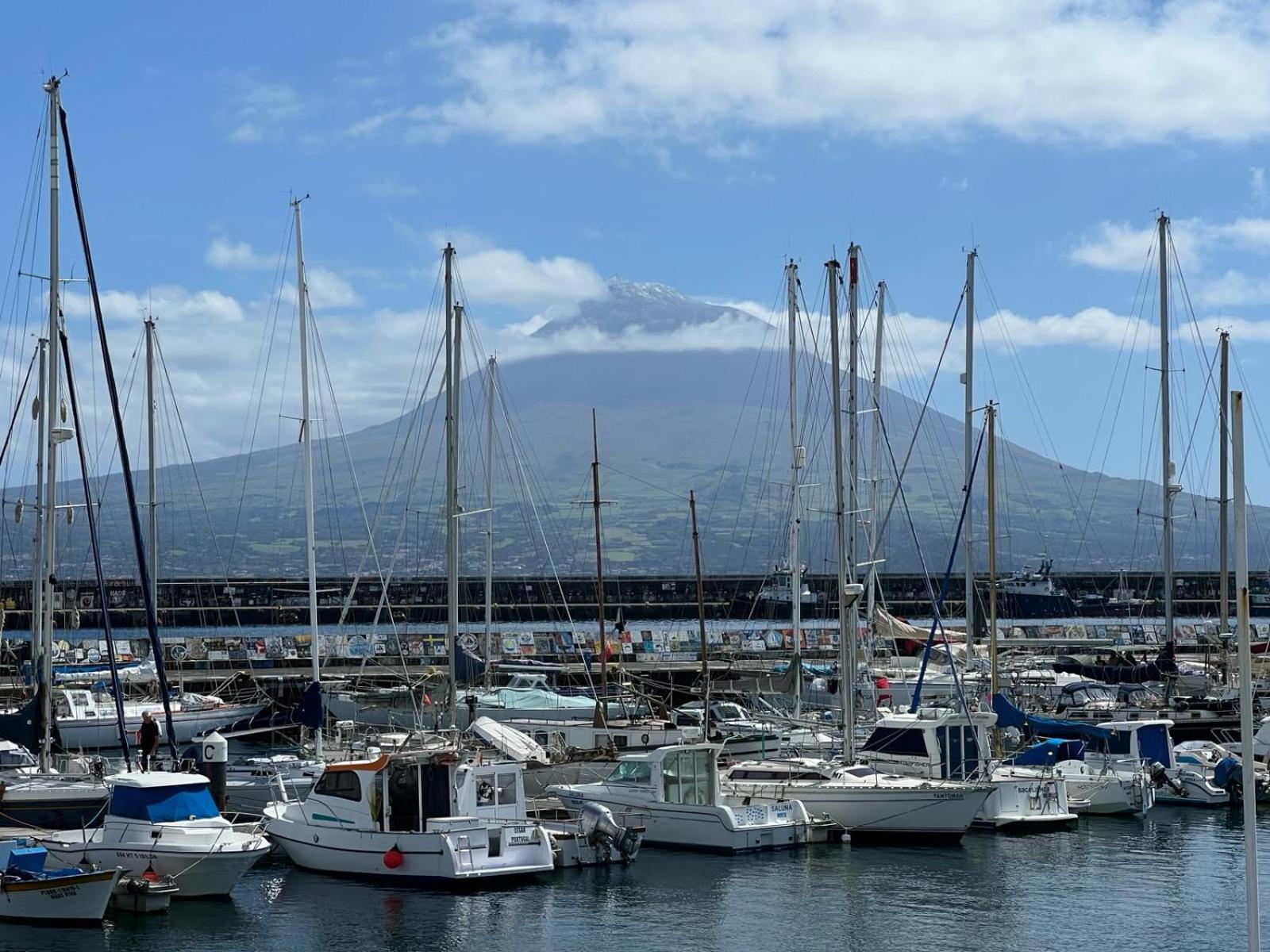 Estudio Frente Mar * Horta (Azores)